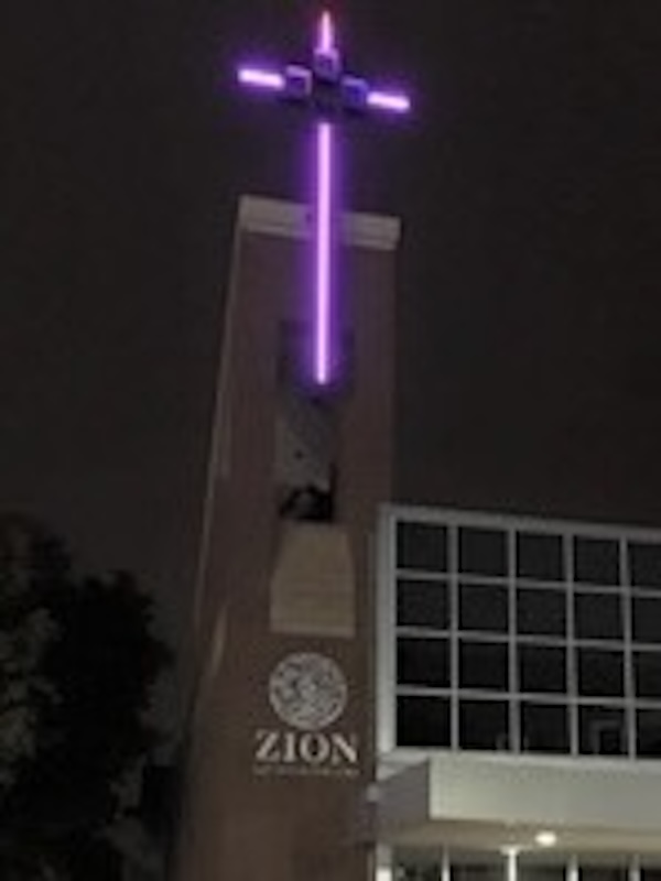 Domestic Violence Purple Cross